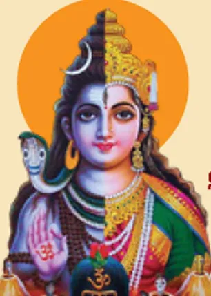/idhalgal/balajothidam/art-tarot-astrology-fulfills-your-wishes-tarot-mr-anandavel