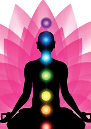/idhalgal/balajothidam/your-body-your-home-new-vastu-shastra-44