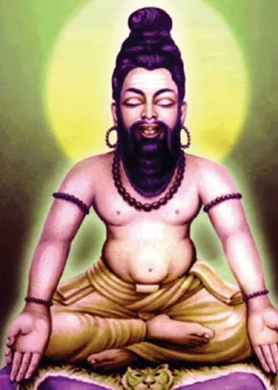 /idhalgal/balajothidam/agasthiyars-way-great-career-chittardasan-sundarji-jeevanadi-early-life