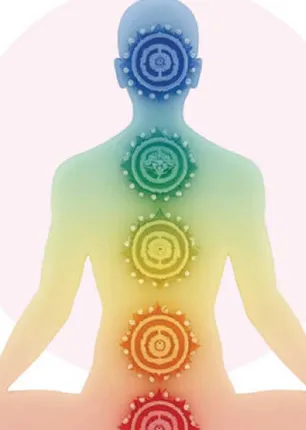 /idhalgal/balajothidam/your-body-your-home-new-vastu-shastra-53