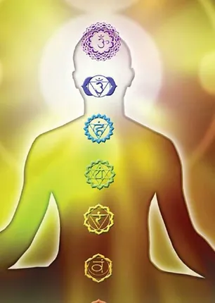 /idhalgal/balajothidam/your-body-your-home-new-vastu-shastra-56-lalgudi-gopalakrishnan