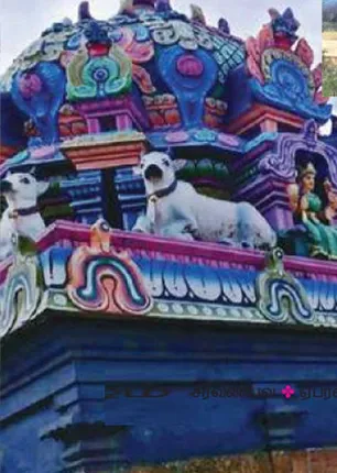 /idhalgal/om/may-lord-shiva-thiruppanthurai-grant-you-blissful-life-coimbatore-arumugam