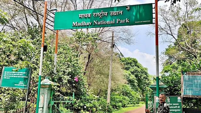 Madhav National Park designated as 8th tiger reserve in Madhya Pradesh