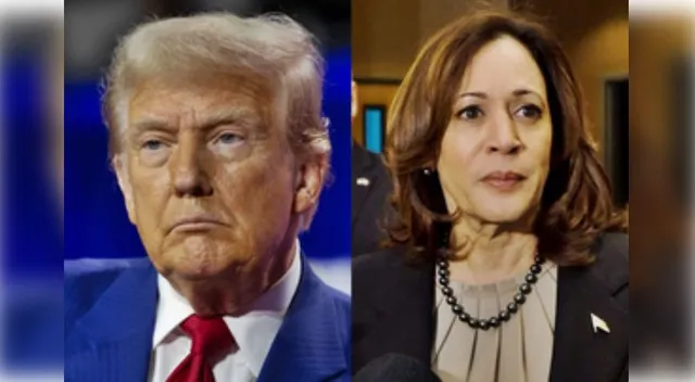 trump and harris