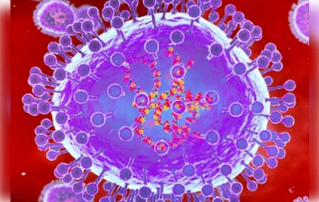 HMPV virus