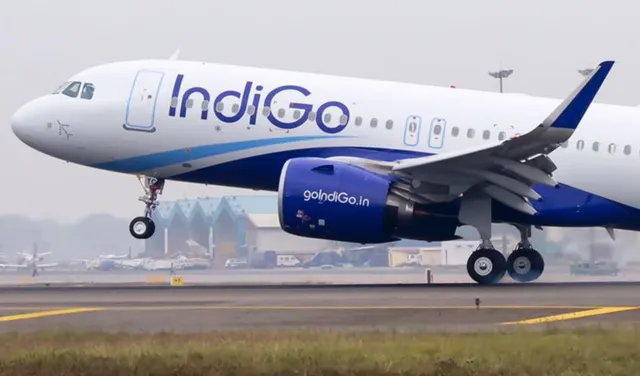 indigo flight