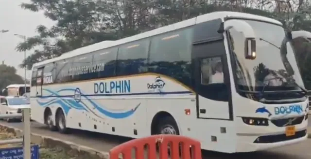 Cricket teams story pic 