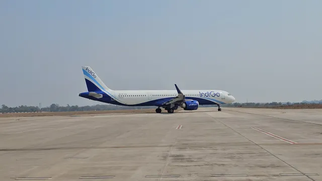 indigo flight pic