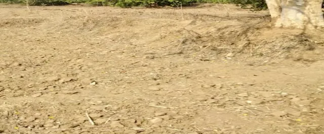 Jharigam couple suicide