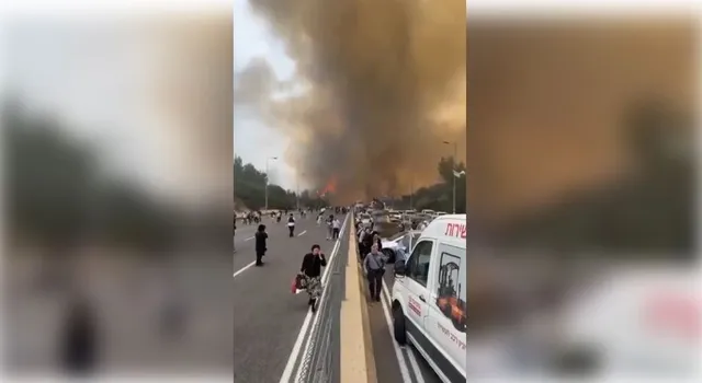 wild fire in jerusalem