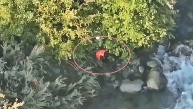 man jumps into river