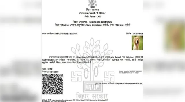 dog residence certificate