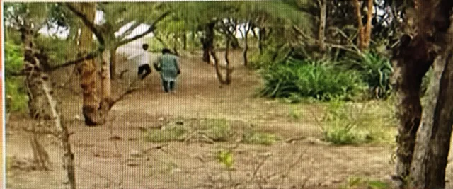 WhatsApp Image 2025-09-17 at 11.09.24