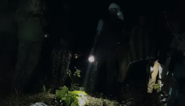 Rairangpur elephant attack