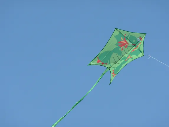 kite