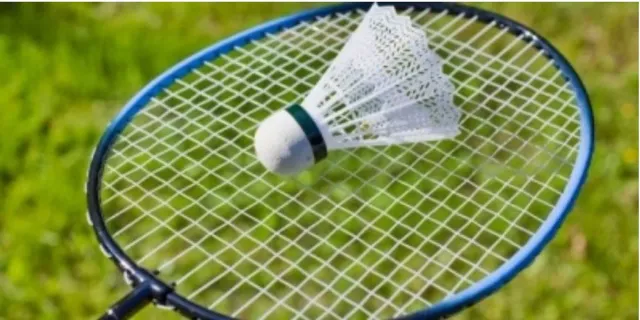 badminton pic