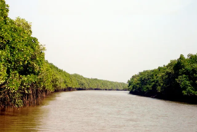 bhitarkanika