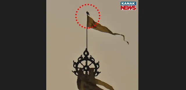 Bird atop Jagannath temple