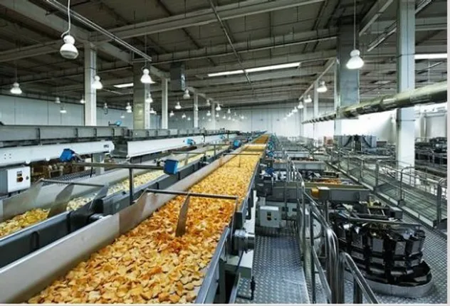 Govt to set up 5 food processing units in state