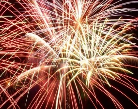 Kerala calls all-party meet on firecracker ban