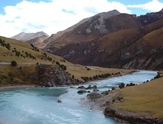 367 new species discovered in Mekong river in two years: WWF