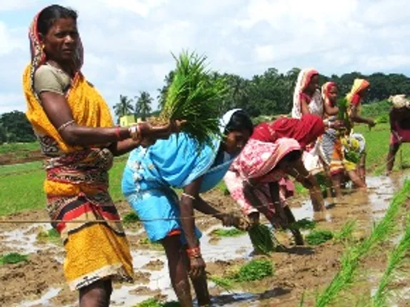 Land Tenure Reforms can give a lease of life to Odisha farmers: Experts