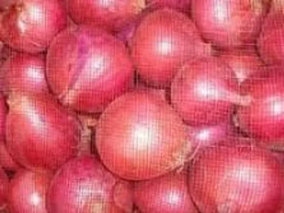 Odisha to open cold storage for onions