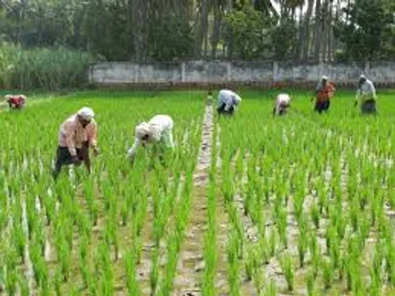 WB to provide Rs 1,000 cr for development of agriculture in Odisha