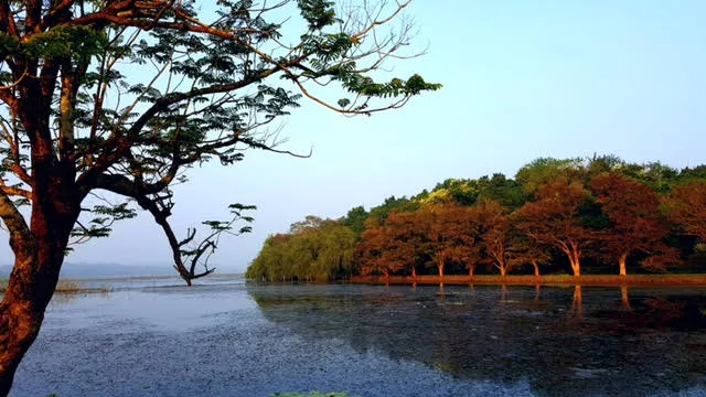 Photo of the Day: Nandankanan