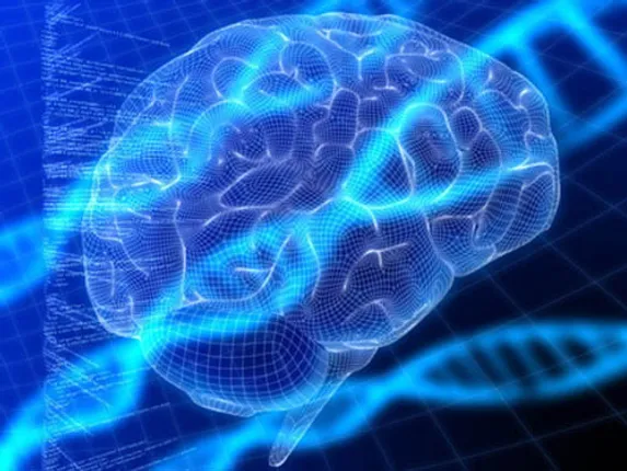 Key biological markers for psychotic disorders identified