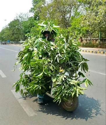 Unique ways to beat the Odisha heat!