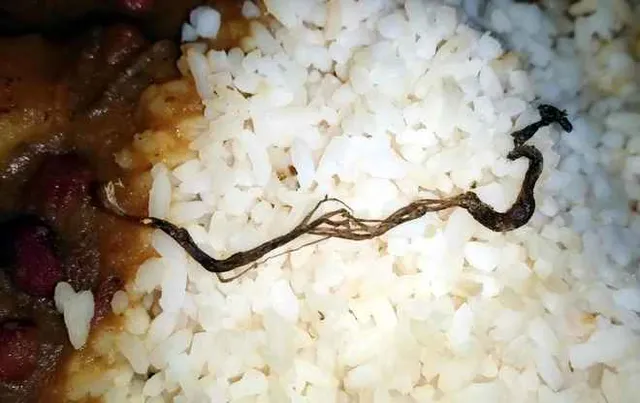 Snake found in mid-day meal in Odisha school!