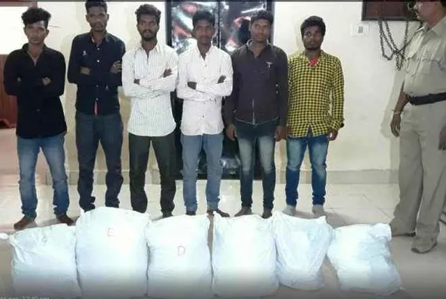 33 kg marijuana seized, six peddlers arrested in Odisha