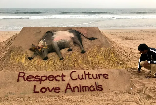 Jallikattu protest turns violent, vehicles burnt