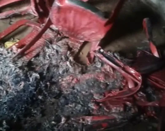 Pre-poll Violence: BJD office set on fire in Odisha's Puri