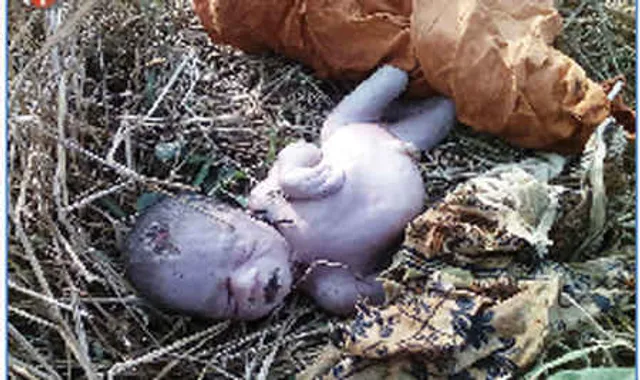 Dead newborn baby girl found from roadside shrub in Odisha