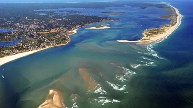 Rise of sea levels pose major threat to coastal birds