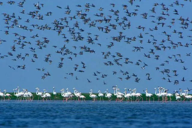 World Tourism Day: Explore Odisha's best kept secrets