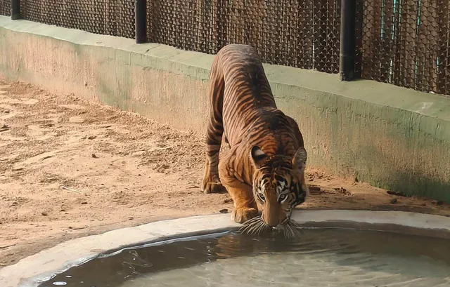 Odisha: Nandankanan Zoo in Bhubaneswar welcomes 18 new guests