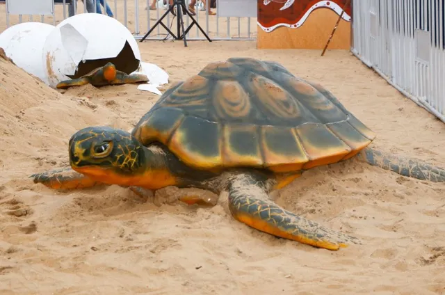 At Puri beach, huge art installation on Olive Ridley turtles calls for its conservation