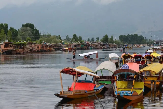Unprecedented heatwave in Kashmir, primary classes suspended till July 30