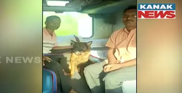 Odisha sends sniffer dog ‘Storm’ to assist in rescue ops at Kerala’s Wayanad