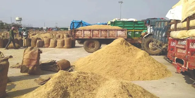 WhatsApp Image 2024-10-16 at 11.10.47 PM