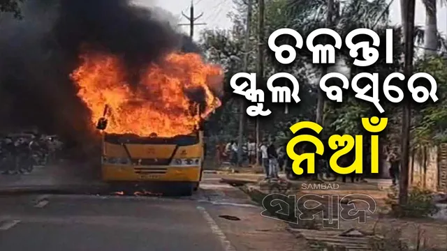 WhatsApp Image 2024-10-23 at 7.06.44 PM