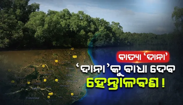 WhatsApp Image 2024-10-24 at 3.12.05 PM