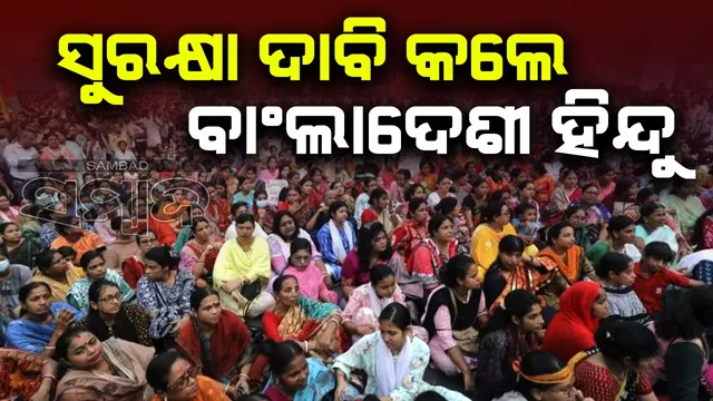 WhatsApp Image 2024-11-02 at 2.55.04 PM