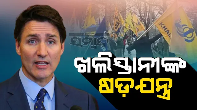 WhatsApp Image 2024-11-05 at 6.20.36 PM