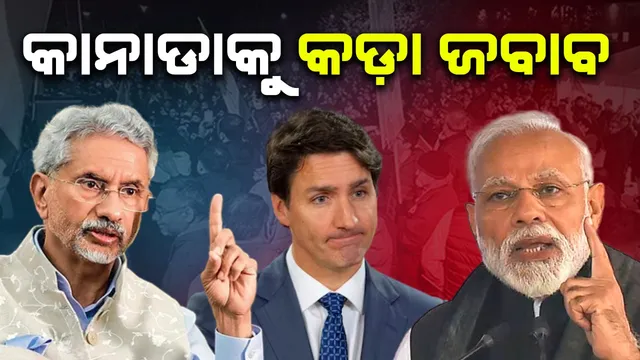 WhatsApp Image 2024-11-05 at 4.26.38 PM