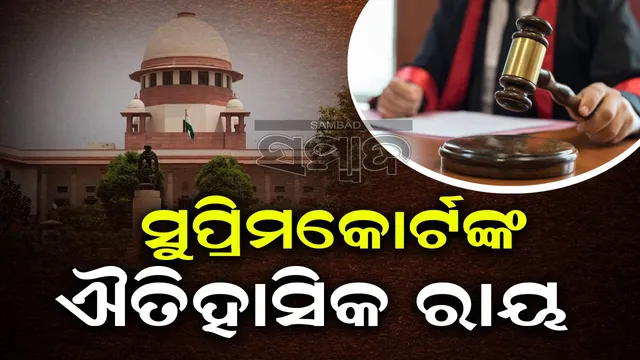 WhatsApp Image 2024-11-05 at 3.32.55 PM