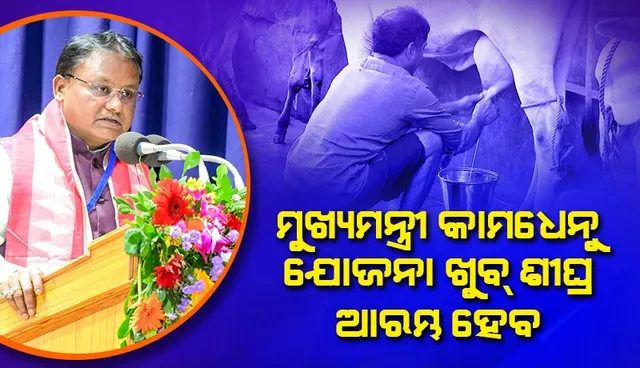 e66c19ff-77c0-4320-9006-6faad4e0e41c